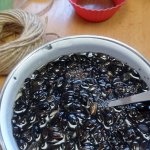phoca_thumb_m_zajci a ptci 8 Fotogalerie